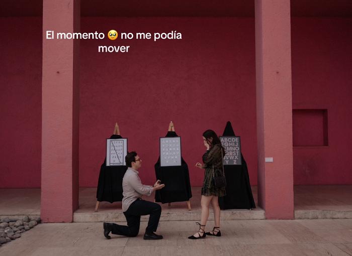 Propuesta de matrimonio en un museo causó revuelo en TikTok. Créditos: Captura