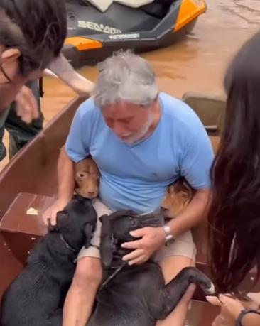 Hombre logró rescatar a los cuatro perros en Brasil - Créditos: Captura