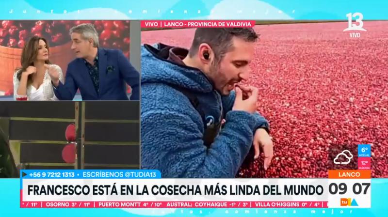Francesco Gazzella probando cranberry - Créditos: Tu Día