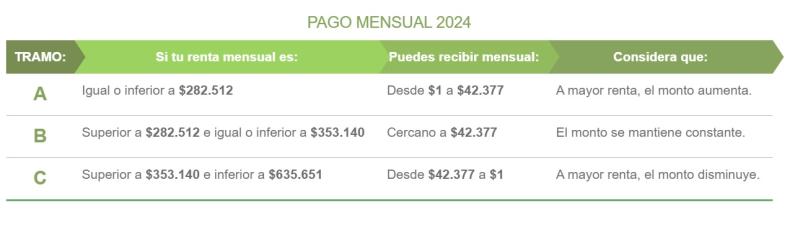 Los pagos del Subsidio al Empleo Joven - Captura