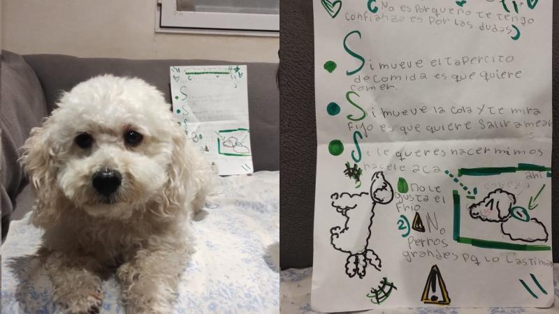 Niña dejó tierna carta con instrucciones para cuidar a su perrito