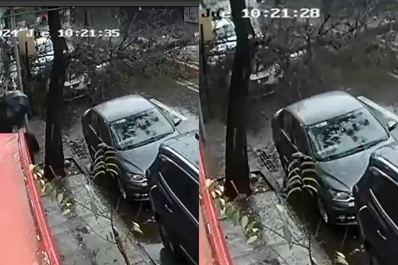 Árbol cae violentamente sobre dos mujeres en Santiago