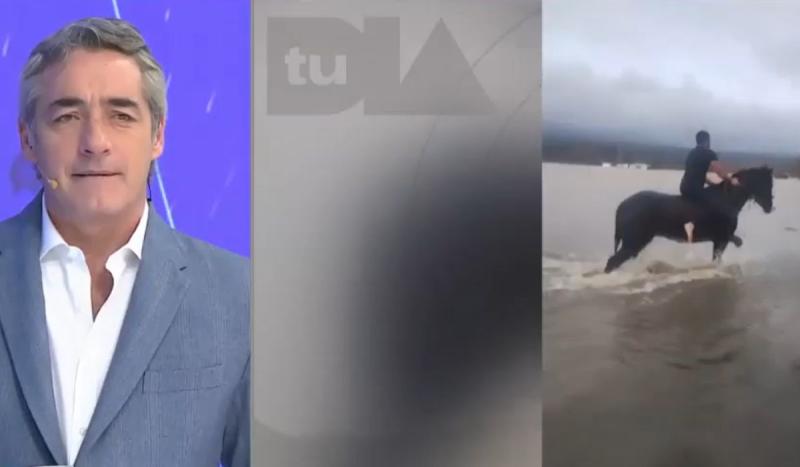 Rescate Caballo viral Tu Día