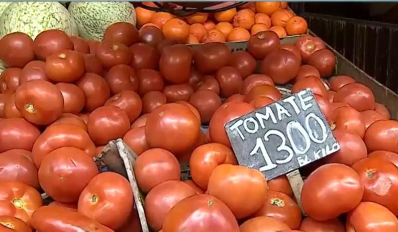 Aumento de tomates y lechugas en la Vega Central