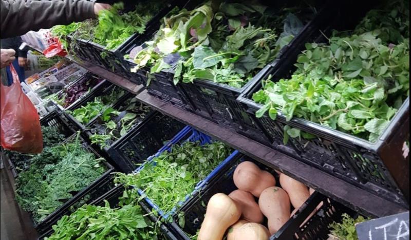 Aumento de precio de lechugas por sistema frontal