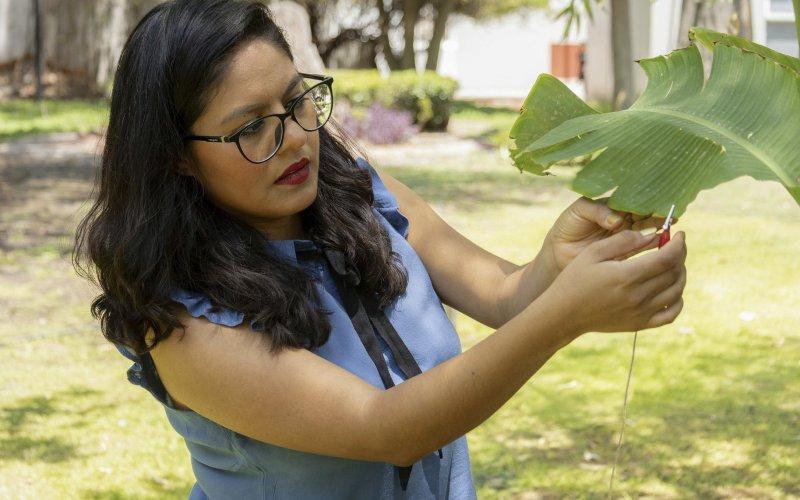 Científica mexicana produce música con sonidos generados por plantas