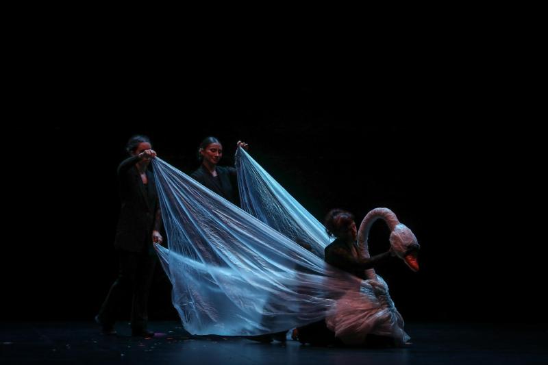 Vacaciones de Invierno: Circo, Magia y Ballet en el Teatro Municipal de Las Condes