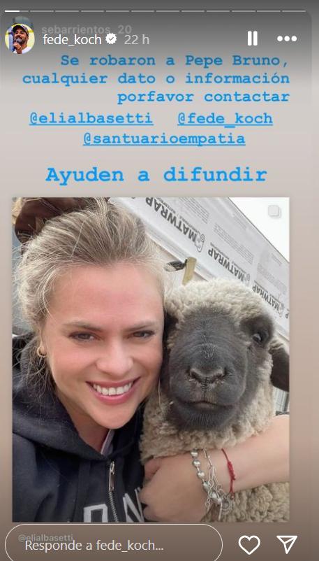 Una de las tantas historias de Federico Koch para dar con el paradero del cordero robado.