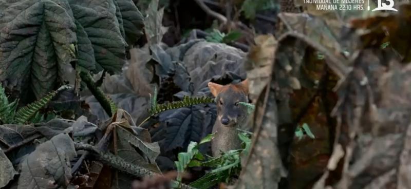 Lugares que Hablan - Captura