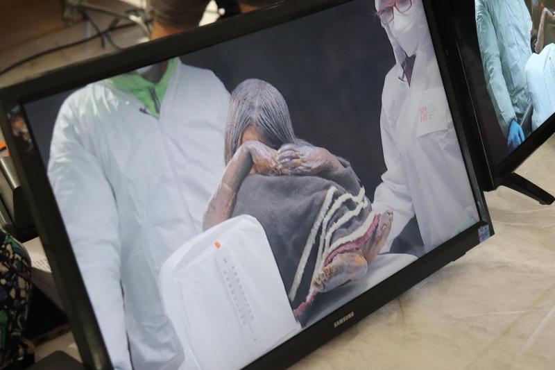 Créditos: Museo Nacional de Historia Natural de Chile