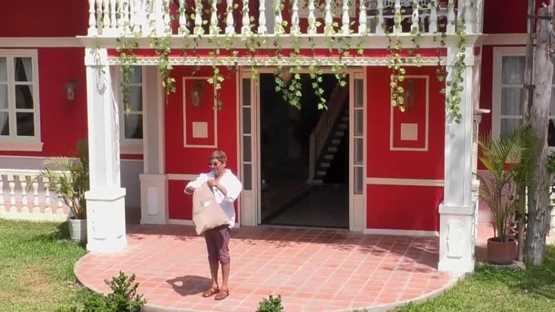 El anuncio de Botota.