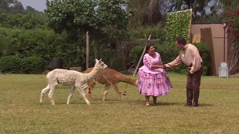 Cholita en Ganar o Servir.