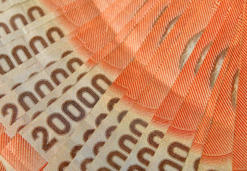 Revisa si puedes acceder al Bono Dueña de Casa.