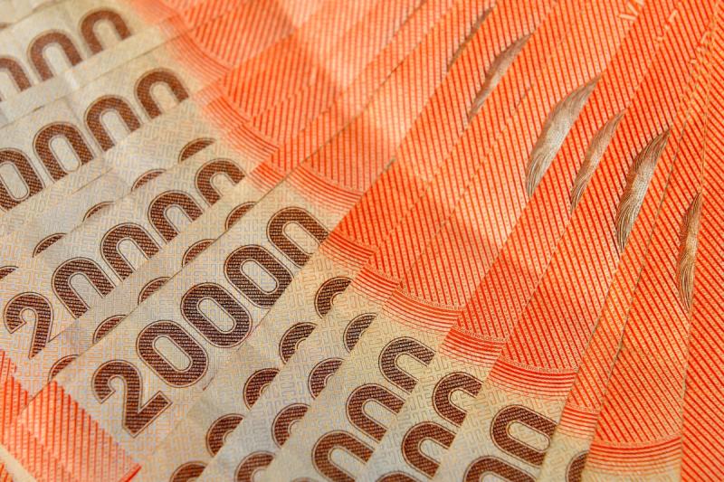 Bolsillo Familiar Electrónico - Créditos: Agencia Uno