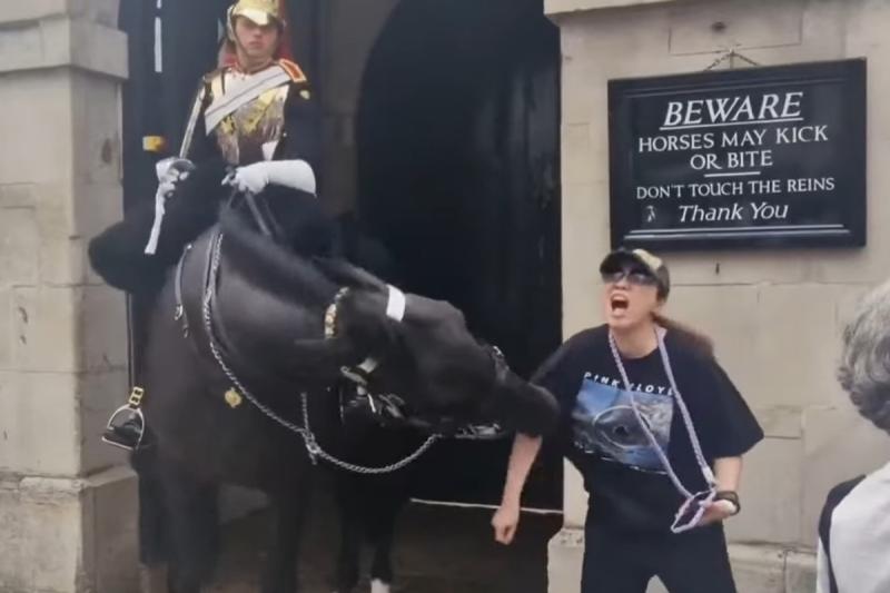Caballo de la Guardia Real británica muerde a una turista - Captura de pantalla