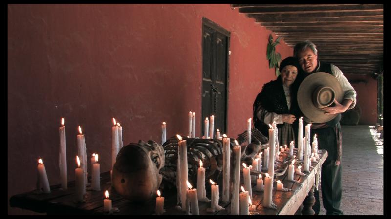 El cine de Raúl Ruiz regresa a la Cineteca Nacional