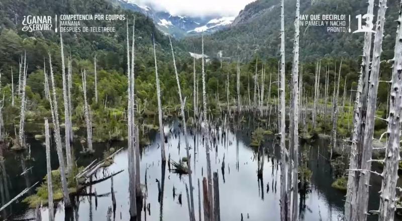 Claudio Iturra visitando "el bosque siempre verde" en La ruta de la Patagonia