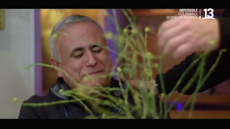 Doctor Ugarte - De Tú a Tú