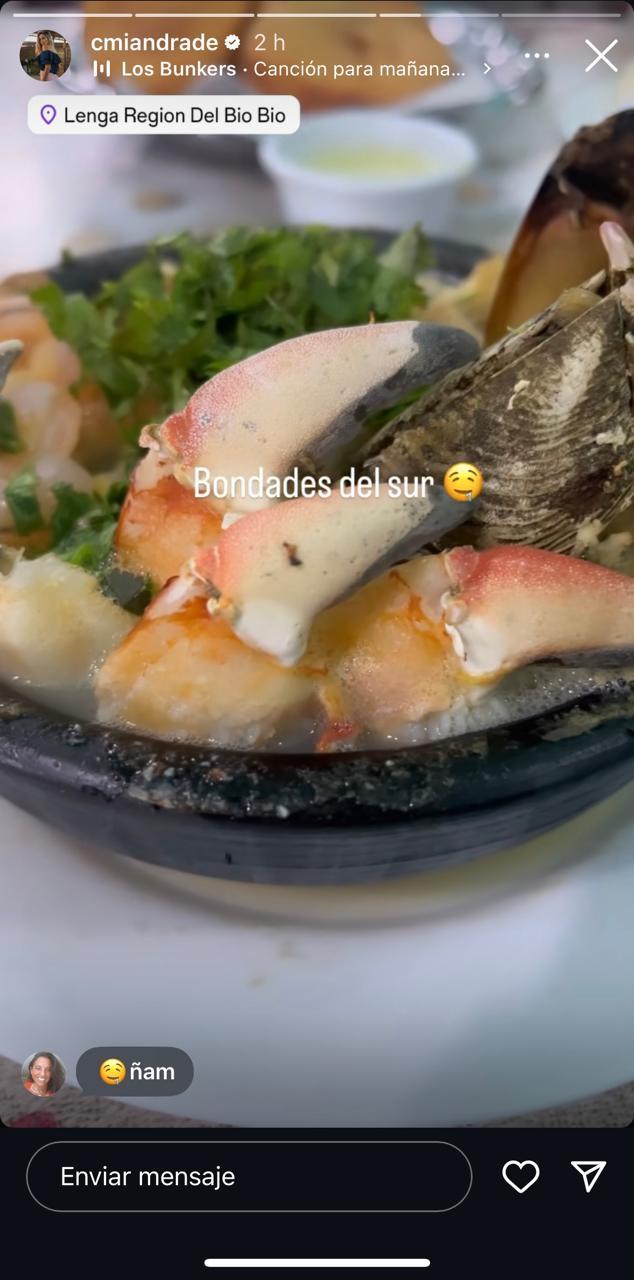 Historia de Camila Andrade junto a Francisco Kaminski