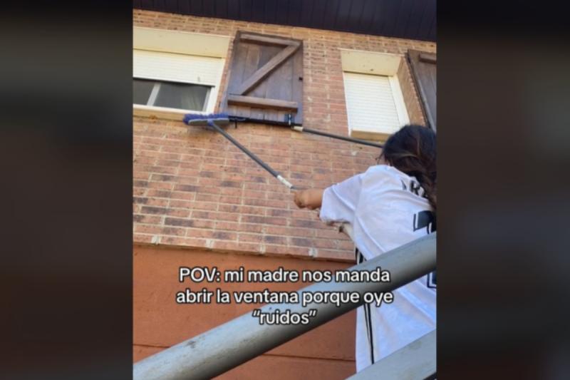 Joven descubre nido de murciélagos