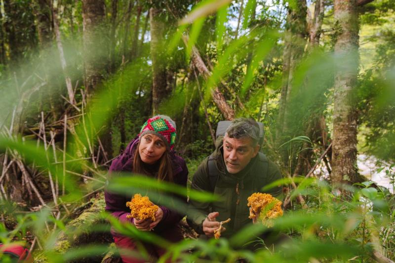 Novedades de julio en 13C: Naturaleza, deporte e increíbles remodelaciones