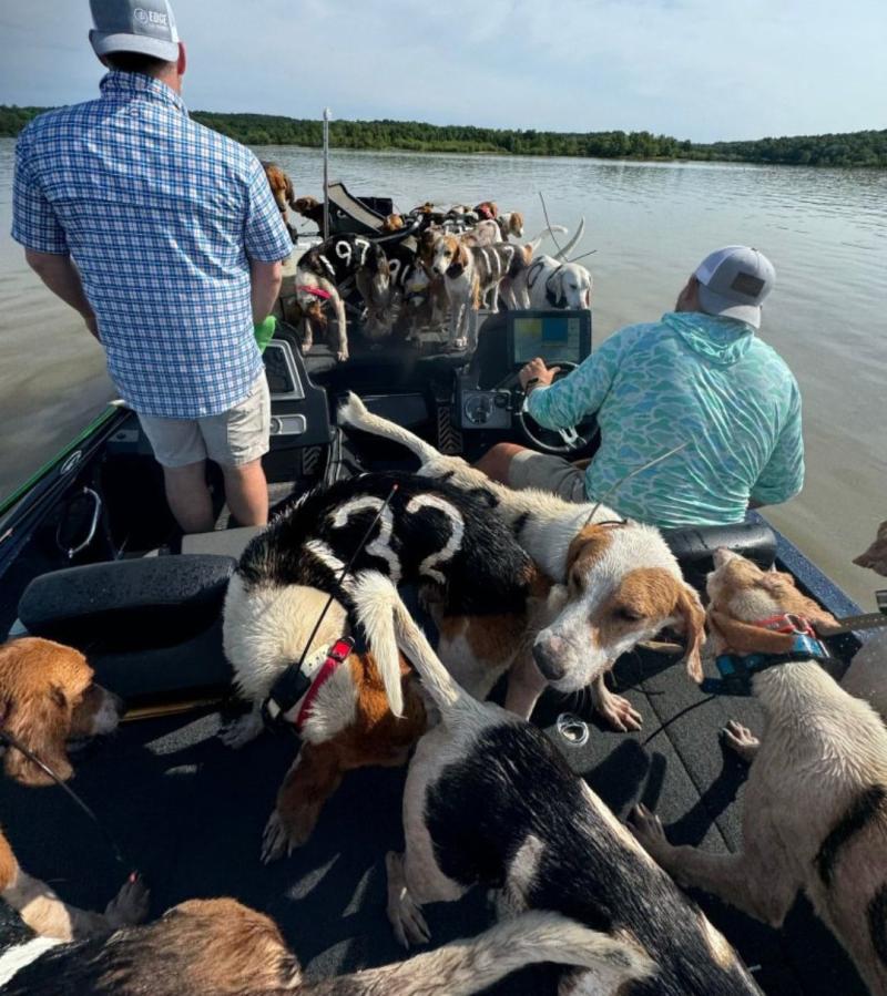 Pescadores rescatan a 38 perros - X