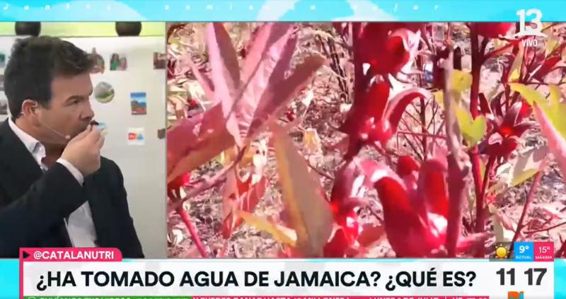 ¿Cuáles son las propiedades del agua de Jamaica? - Créditos Tu Día