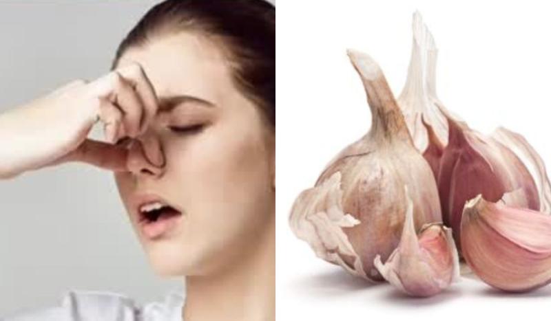 Doctor Ugarte aclara los mitos sonre el uso medicinal del ajo en enfermedades respiratorias