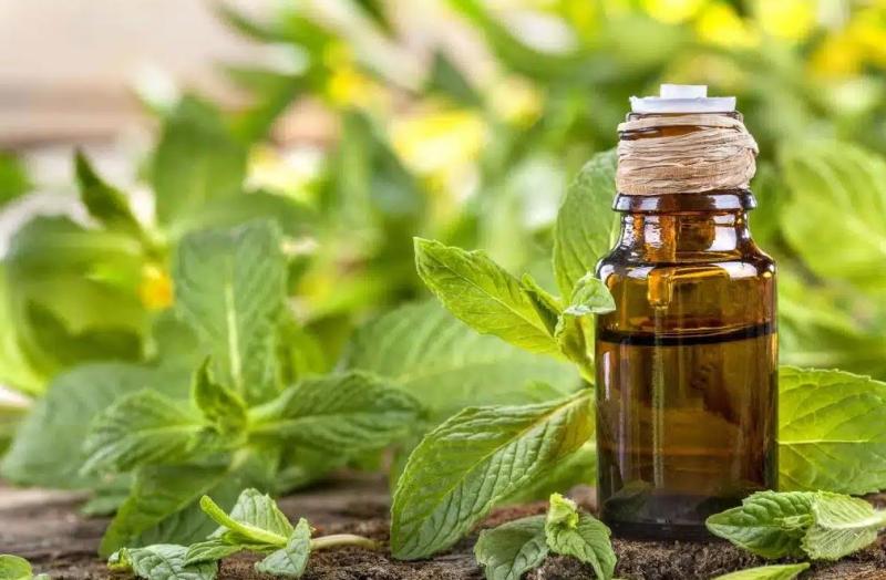 Estudio revela los aromas que pueden mejorar la capacidad del cerebro