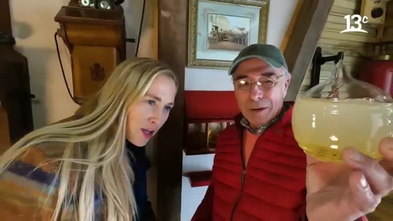 Puerto Varas: Estas son las actividades que puedes hacer en esta bella ciudad