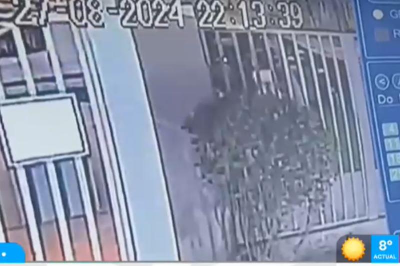 El momento que se llevan a bebé de San Miguel