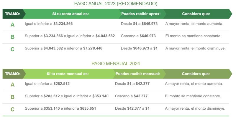 Detalle de los pagos del Subsidio al Empleo Joven. (captura de pantalla)