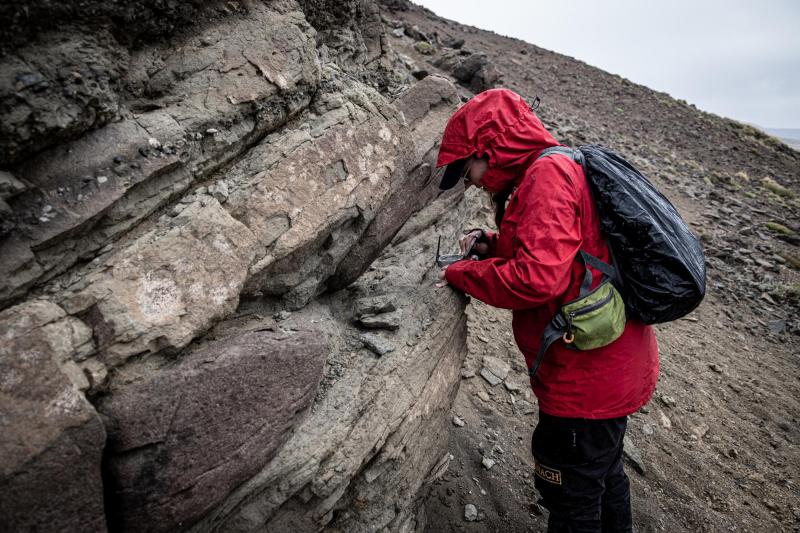 Investigadora analiza vestigios de meteorito ligado a extinción de dinosaurios