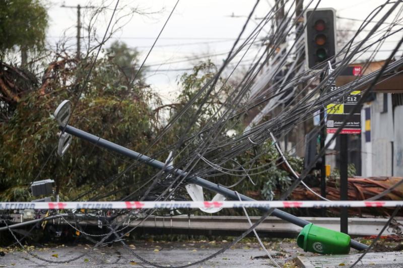 Caída de árbol por sistema frontal - Créditos: ATON