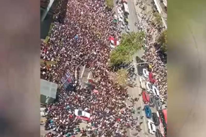 Caos en el Día del Tulipán