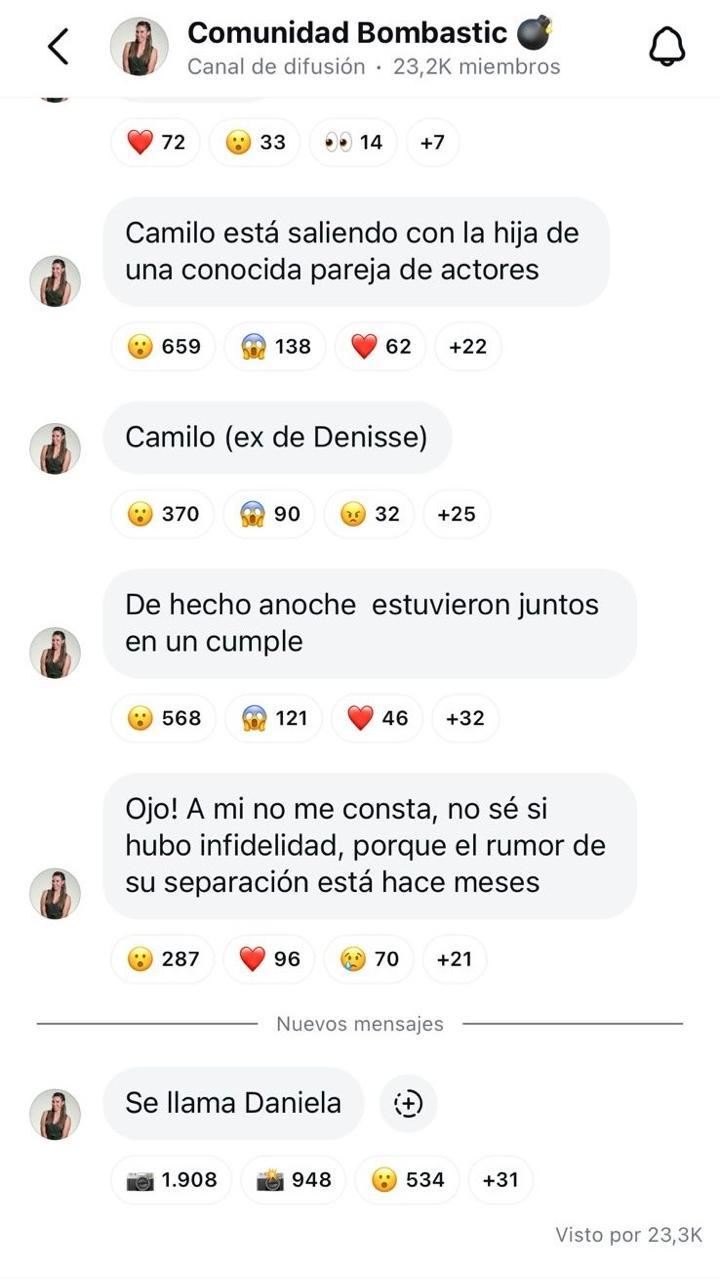 Situación de Denise Rosenthal y Camilo.