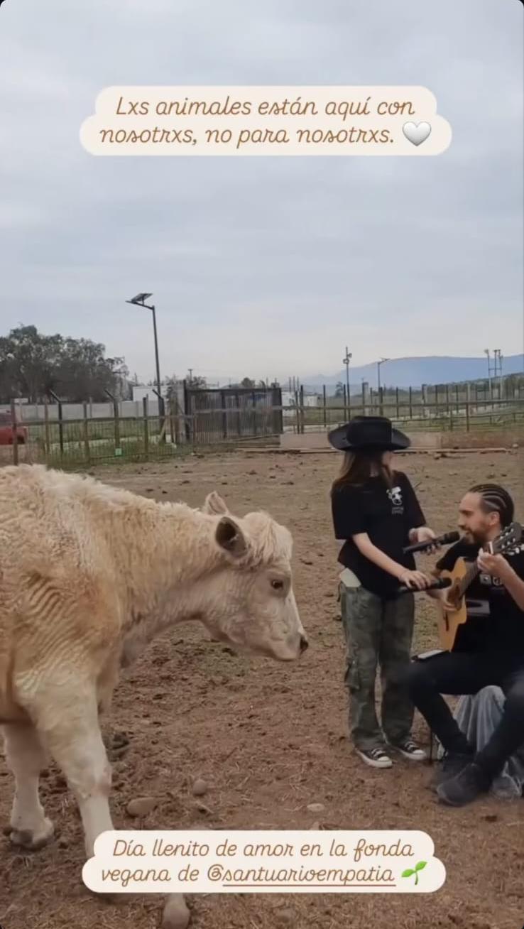 Fonda vegana de Eliana Albasetti