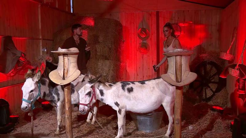 Luis Mateucci y Gala en Ganar o Servir