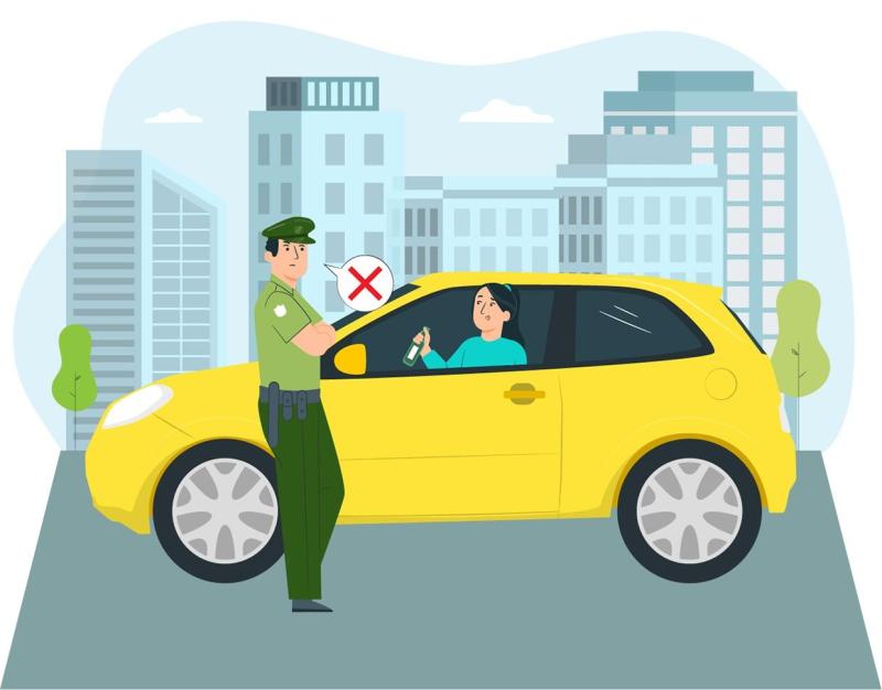 Fiestas Patrias 2024.