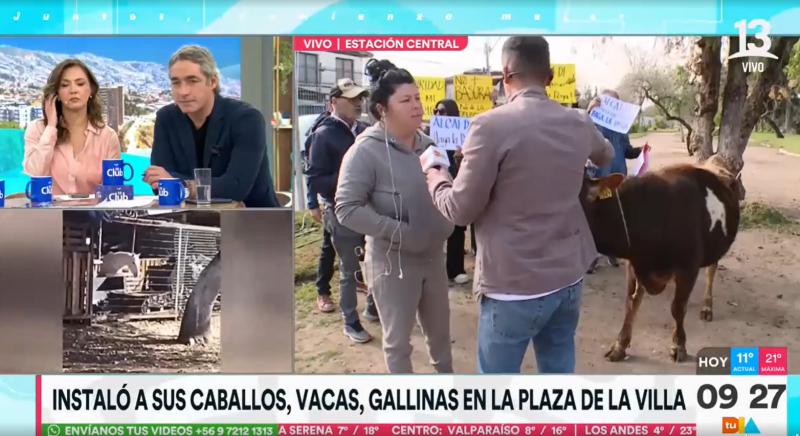 Vecina de Estación Central transformó plaza pública en granja para sus animales