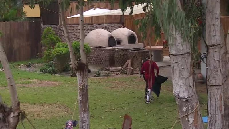 La tensa discusión entre Mateucci y Dani Colett.