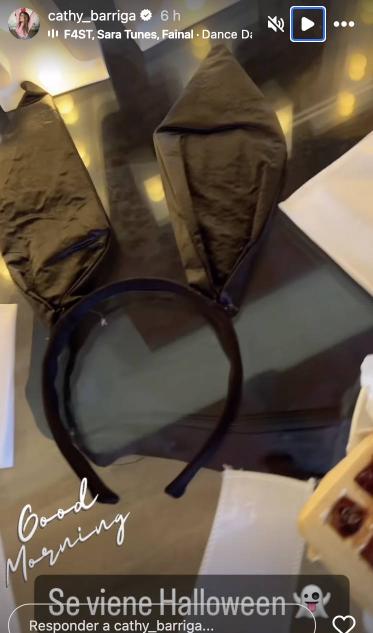 Historia de Cathy Barriga.