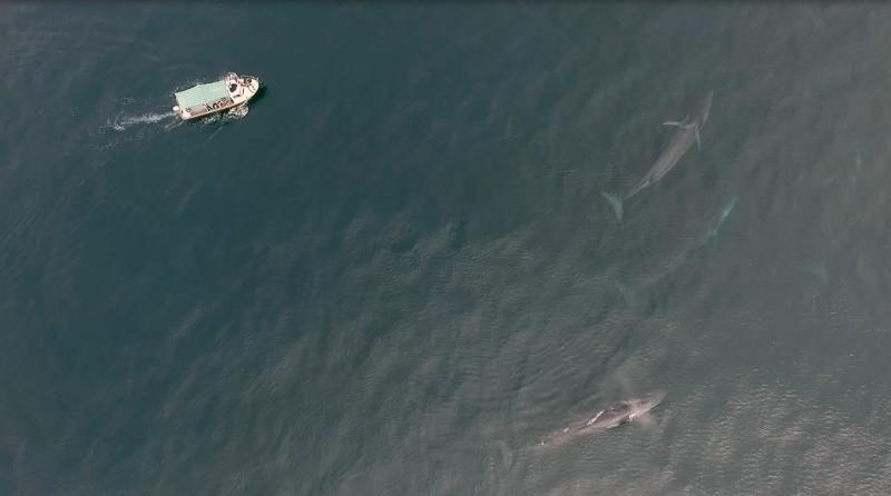 MAC UChile celebra veinte años de su sede Quinta Normal inaugurando exhibiciones con más de 50 artistas