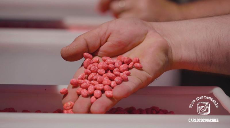 Porotos granados: Un clásico de la comida chilena que ahora puedes comer todo el año