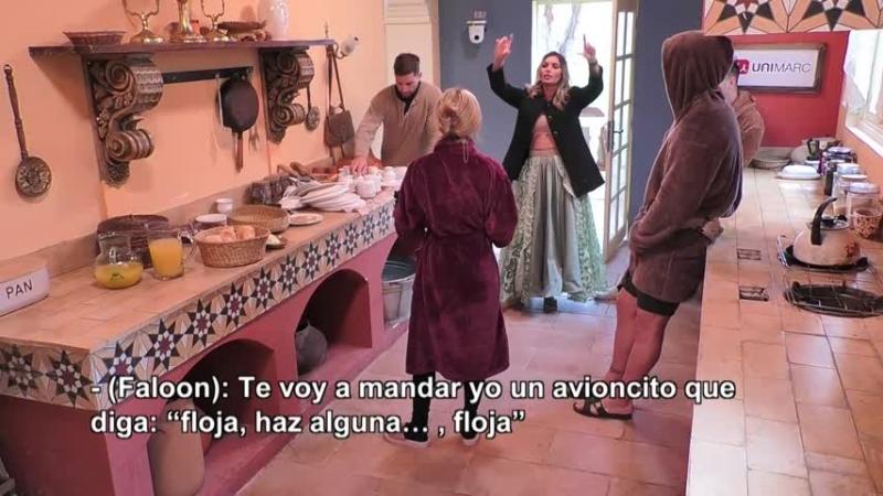 Faloon lanzó un irónico cometario, y aseguró que podría ser la próxima en enviar una avioneta con saludos para Oriana.