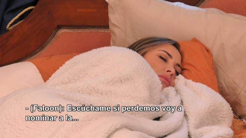 Faloon quiere nominar a Daniela