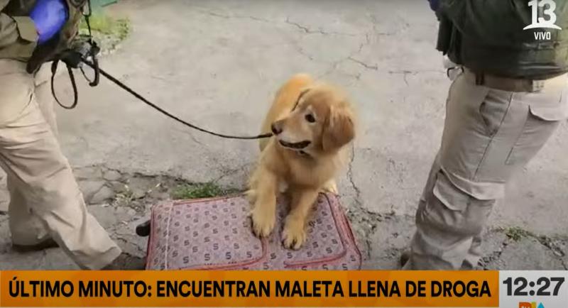 Encuentran maleta repleta de droga en bus que llegó a Santiago desde Ovalle