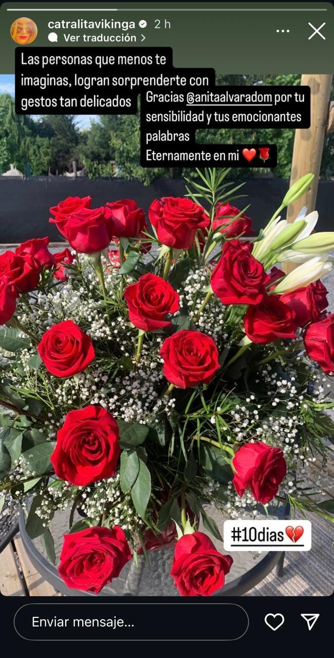 Catalina Pulido - historias de Instagram.