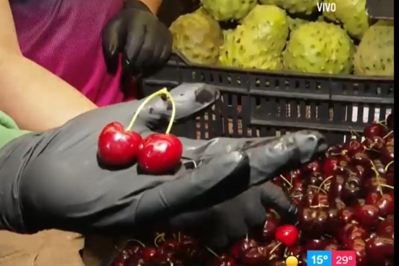 La porción recomendada de consumo de las cerezas según el doctor Ugarte