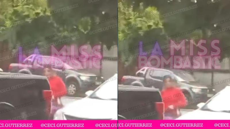 Imágenes publicadas en el Canal de difusión de Cecilia Gutiérrez.